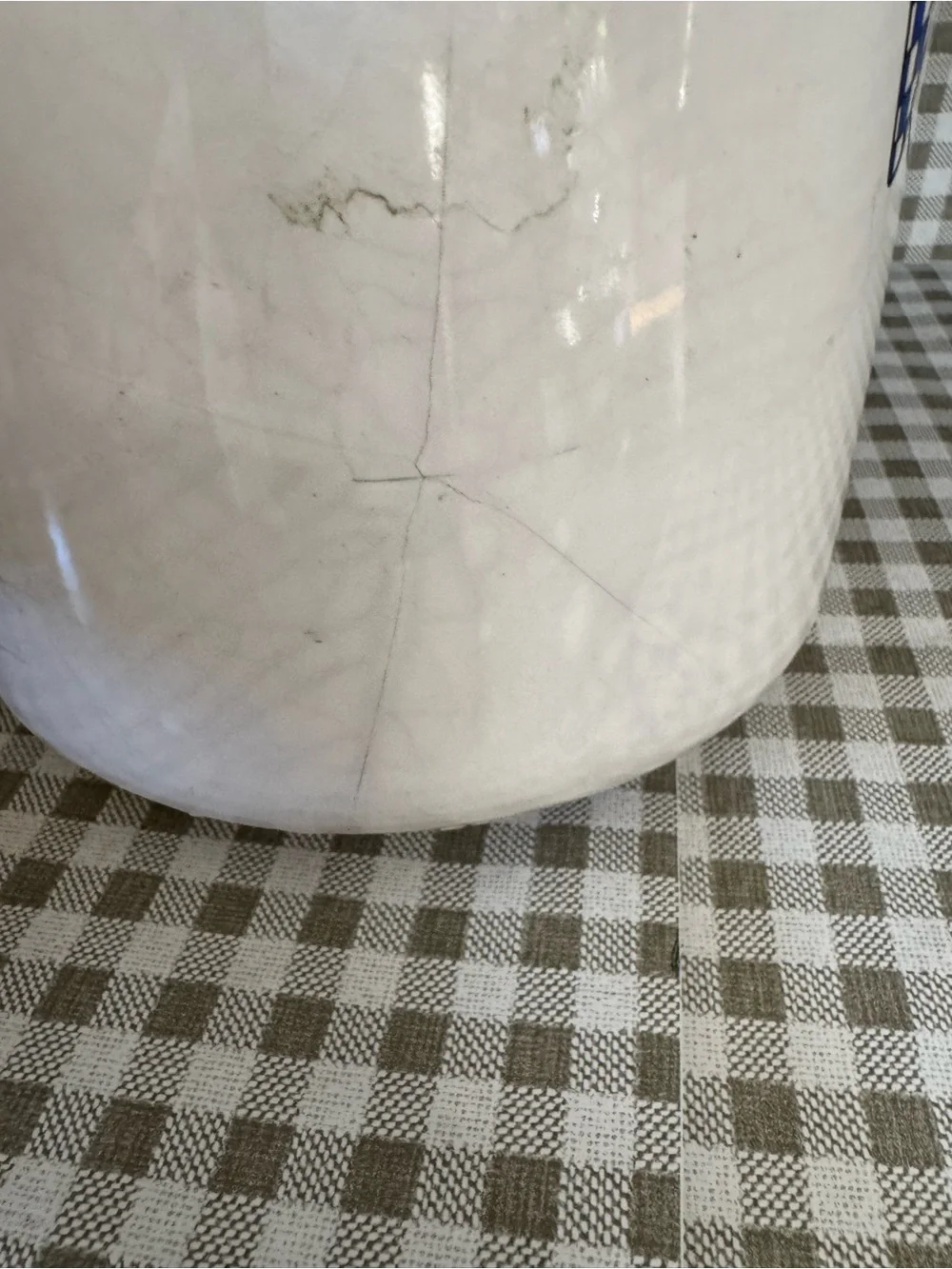 White Ceramic Goose Canister with Blue Gingham Scarf 9’inch cookie jar, storage